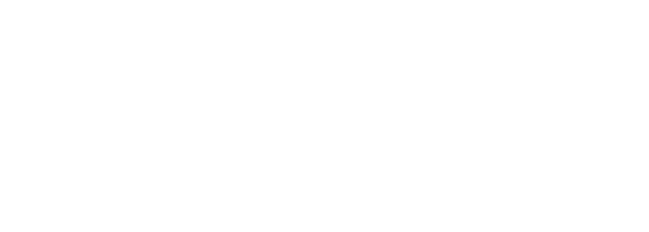 LOGO LIGHT